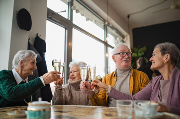 Happy senior friends sitting indoors in cafe clinking champagne glasses and celebrating