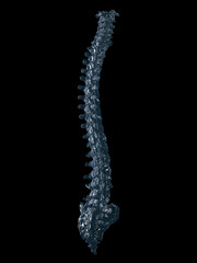 3d rendered illustration of a glass spine