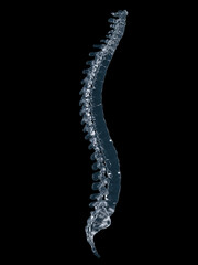 3d rendered illustration of a glass spine