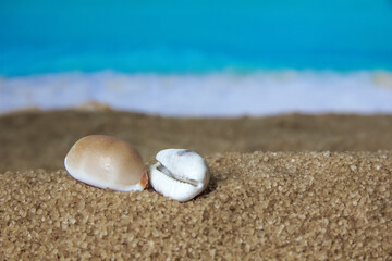Fototapeta na wymiar Sea shell in the sand on the background of beach and sea. Concept of relaxation and tropical paradise