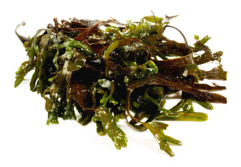 Fresh Seaweed - Healthy Nutrition isolated on white Background.