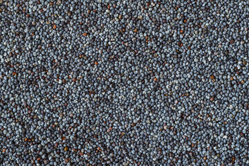Poppy seeds pattern - poppy beans closeup