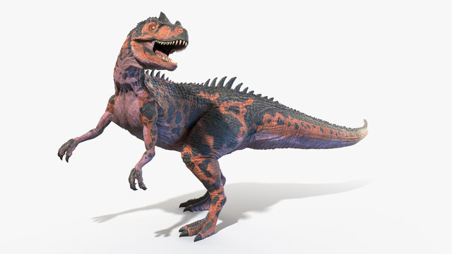 3d rendered illustration of an Allosaurus
