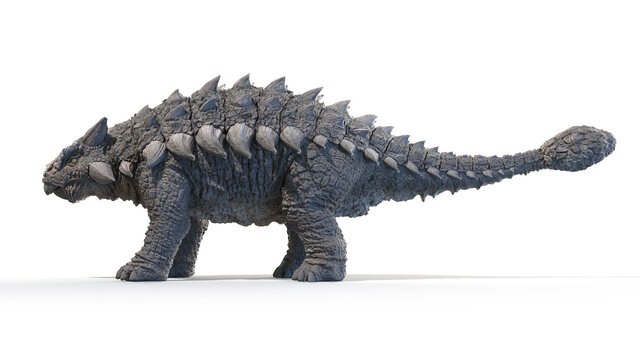 3d rendered illustration of an Ankylosaurus