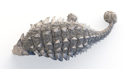 3d rendered illustration of an Ankylosaurus