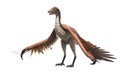 3d rendered illustration of an Archaeopteryx