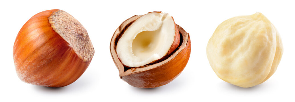 Hazelnut isolated. Hazel set on white background. Hazelnut in broken shell, white nut, whole nut. Collection. Full depth of field.