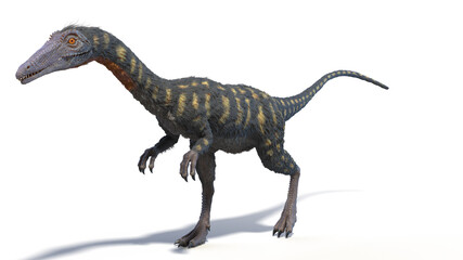 3d rendered illustration of a Coelophysis