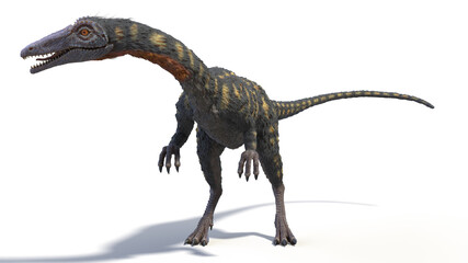 3d rendered illustration of a Coelophysis © Sebastian Kaulitzki