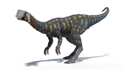 3d rendered illustration of a Coelophysis