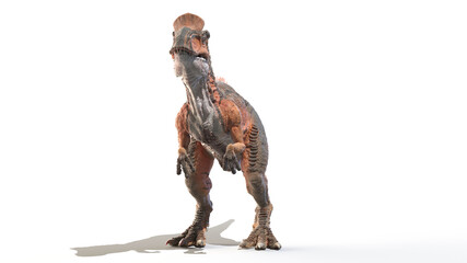 Fototapeta na wymiar 3d rendered illustration of a Cryolophosaurus