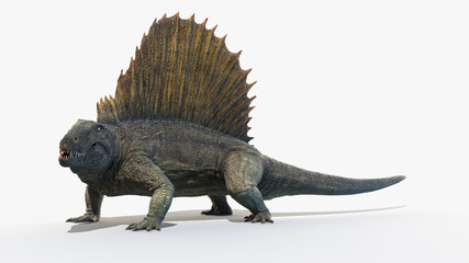 3d rendered illustration of a Dimetrodon © Sebastian Kaulitzki