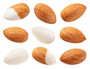 Fototapeta Almond isolated. Almonds on white background. Almond set top view. With clipping path. Full depth of field. obraz