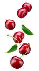 Cherry isolated. Falling sour cherries with leaves on white background. Flying cherry. - 479531723