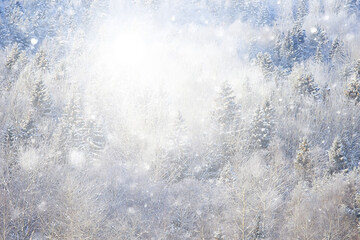 winter background snowfall trees abstract blurred white