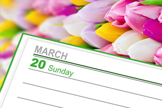 Calendar 2022  March 20  Sunday With Tulips