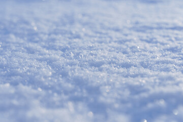 Obraz premium Snowy texture background and snow surface in winter under the sun on a clear frosty day.