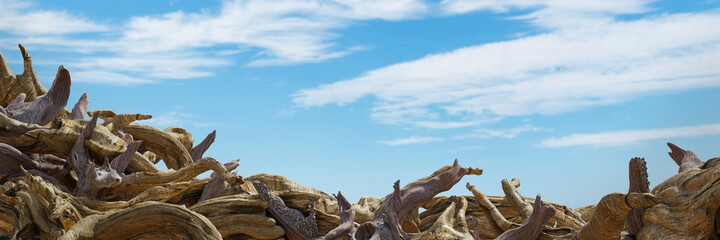 Fototapeta premium driftwood, pile of aged branches on the beach (3d illustration banner)