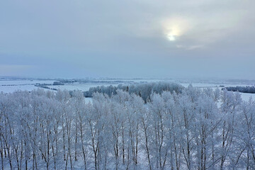 trees frost drone, abstract view background december landscape outdoor trees snow