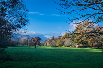 Beautiful Sceneries of Gardens and Parks in Killarney, Ireland.