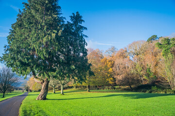 Beautiful Sceneries of Gardens and Parks in Killarney, Ireland.