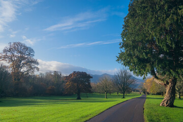 Beautiful Sceneries of Gardens and Parks in Killarney, Ireland.