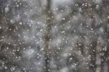 abstract background snowfall overlay winter christmas seasonal snow