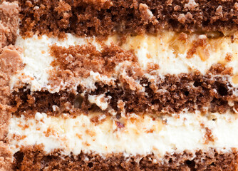 a piece of chocolate cake with cottage cheese filling