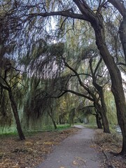 path in the park