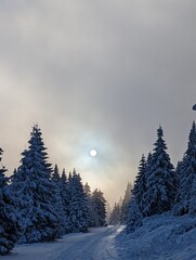 winter landscape in the mountains
