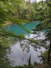 the lake in the forest