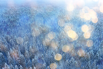 trees forest frost top view background, abstract drone view nature seasonal winter spruce
