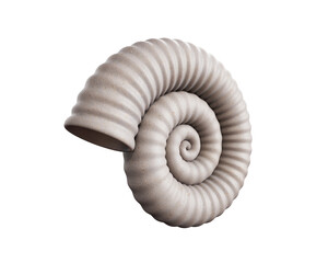 Sea shell isolated on white background. 3d rendering