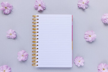 Open notepad and fresh spring cherry blossom flowers, pastel pink background, woman desk workspace....