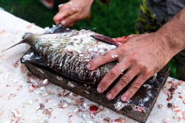 A man cleans freshwater fish scales with a big knife. Fisherman's prey