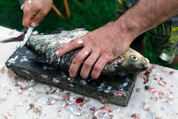 A man cleans freshwater fish scales with a big knife. Fisherman's prey © September