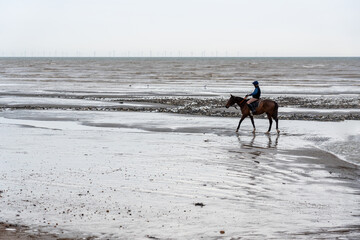 FERRING BEACH, WEST SUSSEX, UK - CIRCA 2021 JANUARY: A horserider riding a brown horse on a wet sandy beach by the sea on a cloudy day.