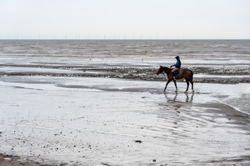 Fototapeta na wymiar FERRING BEACH, WEST SUSSEX, UK - CIRCA 2021 JANUARY: A horserider riding a brown horse on a wet sandy beach by the sea on a cloudy day.