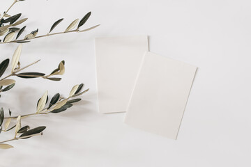 Summer stationery still life concept. Two blank greeting cards mockups. Olive tree branches...