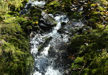 ruisseau alpin
