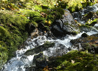 ruisseau alpin