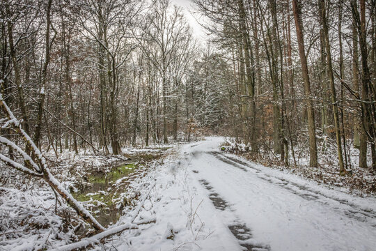 a winding dirt road through a snow  covered forest