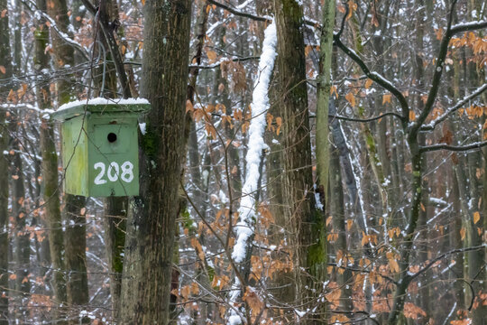 a green birdhouse hanging from a snow covered branch