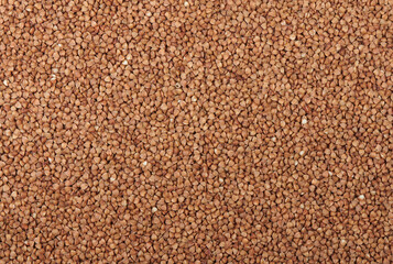 dry buckwheat background texture