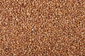 dry buckwheat background texture