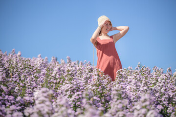 Young happy traveler Asian woman sightseeing on Margaret Aster flowers field in garden at Khao Kho,...