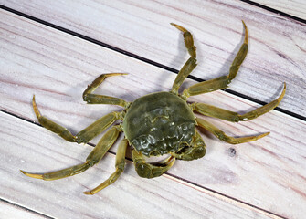 Fresh Hairy crabs from Yangcheng Lake