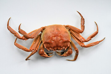 Yangcheng Lake hairy crabs in Suzhou, China