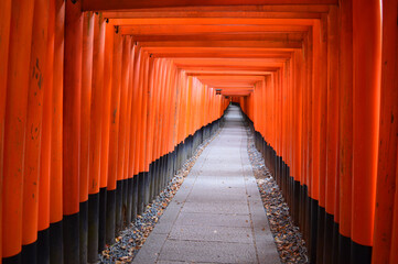 5月に京都市伏見稲荷大社の千本鳥居の右参道を歩く