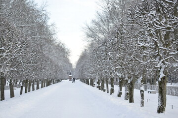 winter park for walking people
